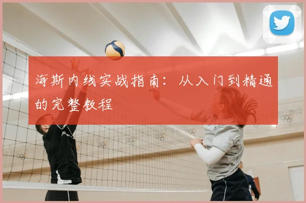 海斯内线实战指南：从入门到精通的完整教程
