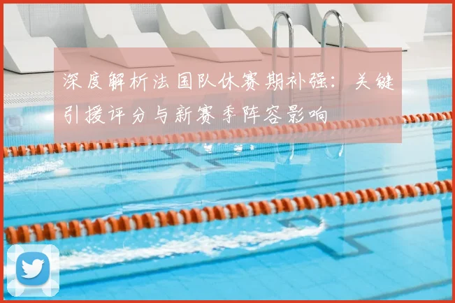 深度解析法国队休赛期补强：关键引援评分与新赛季阵容影响